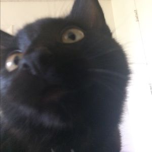 Meet your Posher, Richard